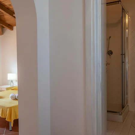 Allegra סטינטינו