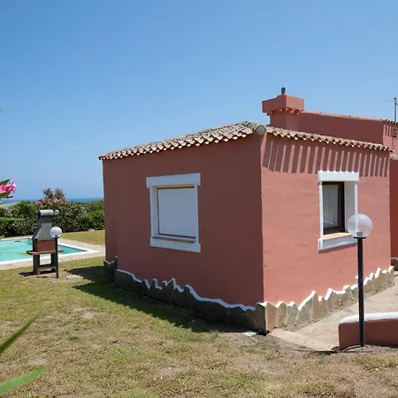 Allegra סטינטינו