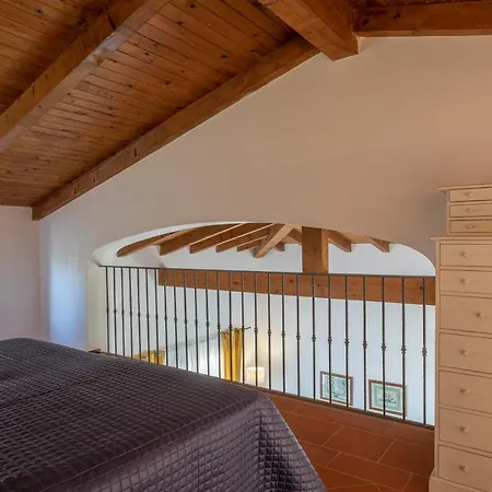 Allegra סטינטינו